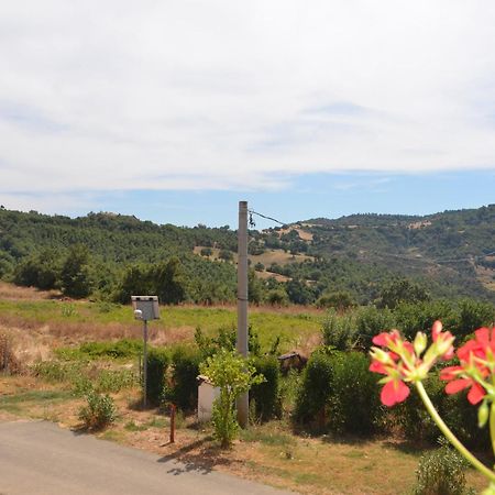 Agriturismo Masseria Castiglione Gallicchio Εξωτερικό φωτογραφία