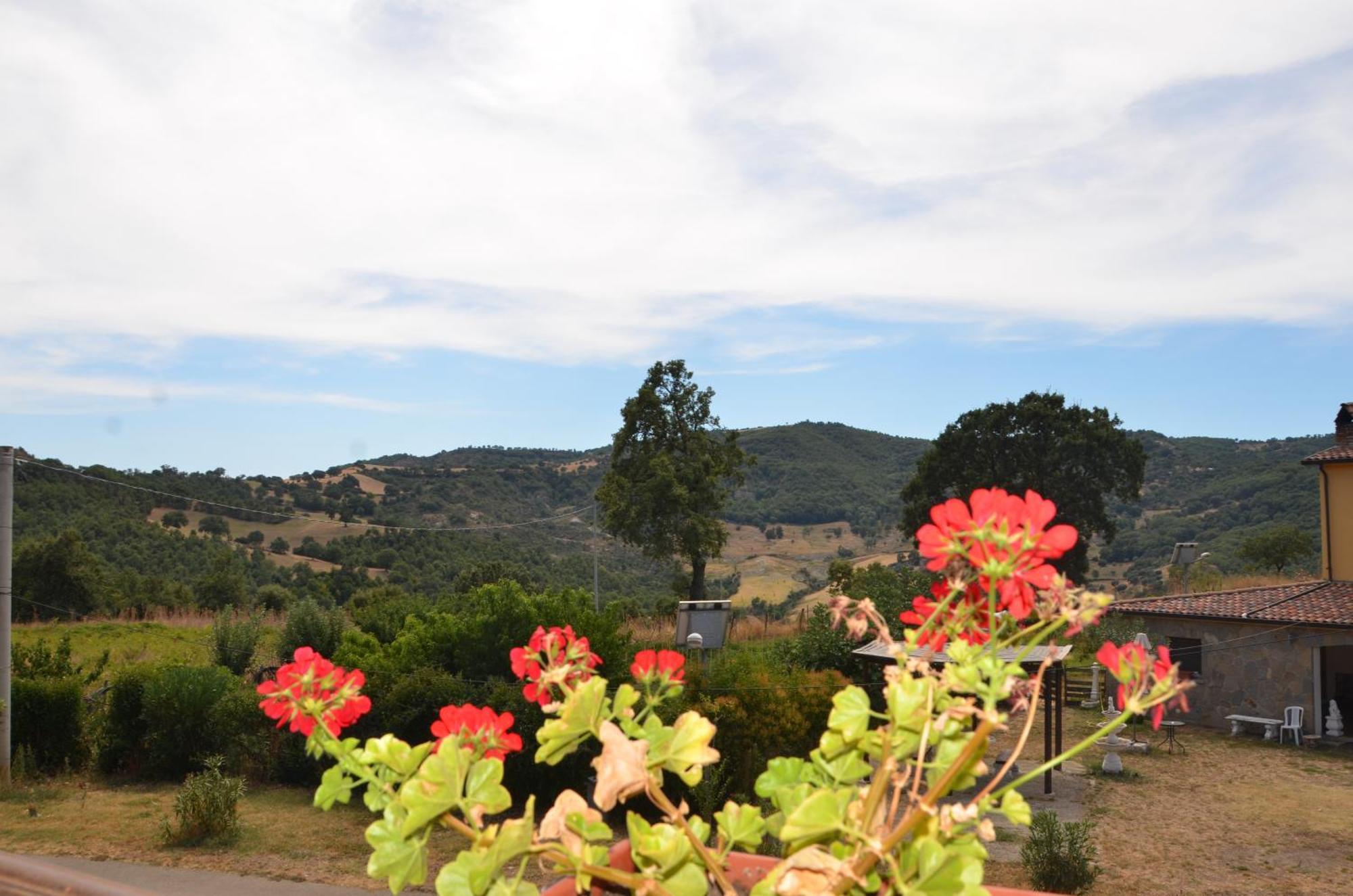 Agriturismo Masseria Castiglione Gallicchio Εξωτερικό φωτογραφία