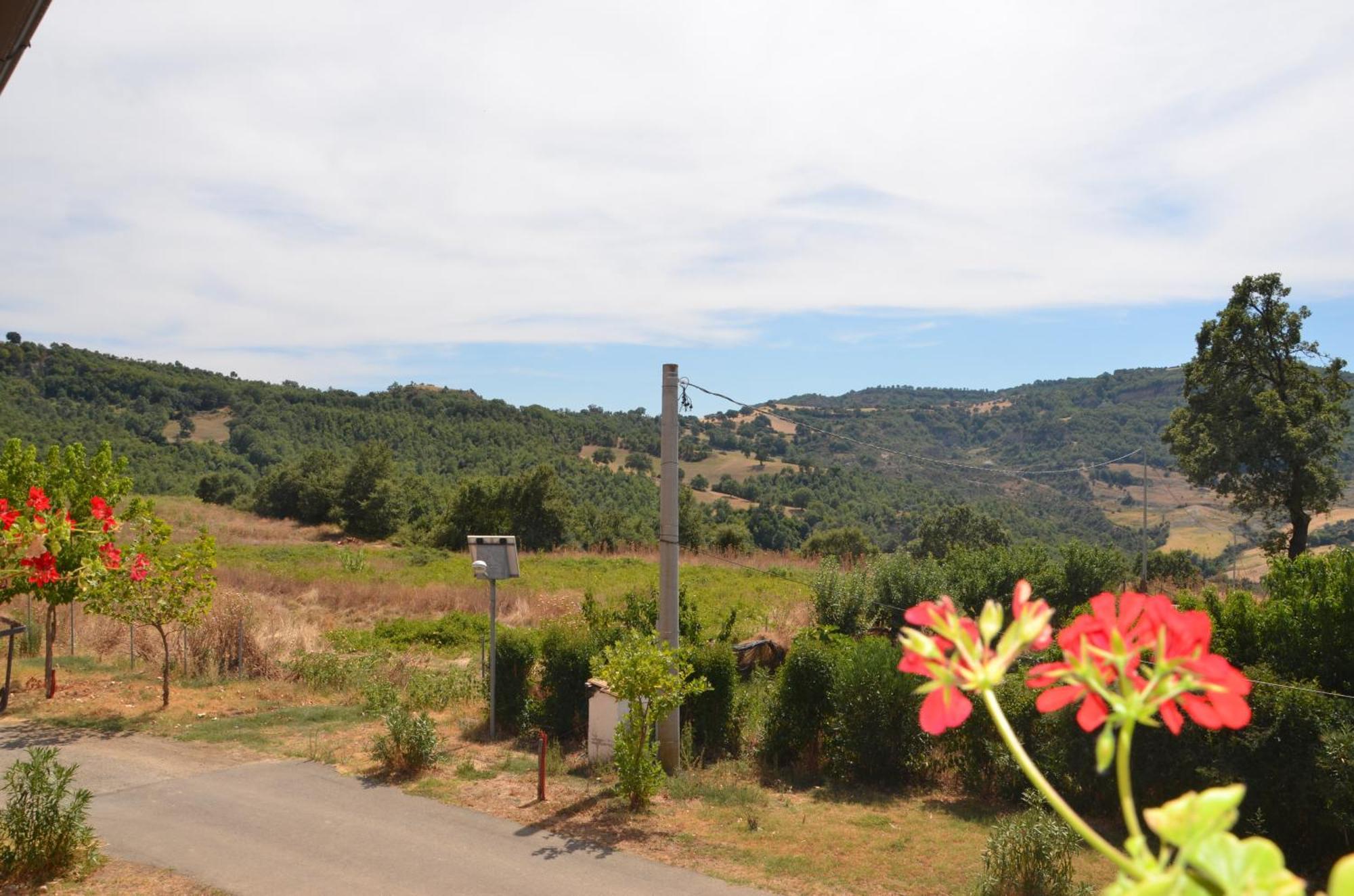 Agriturismo Masseria Castiglione Gallicchio Εξωτερικό φωτογραφία
